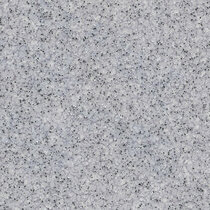 0597 Pixel Silver 0597 Pixel Silver